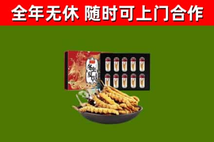 鄠邑回收冬虫夏草价格